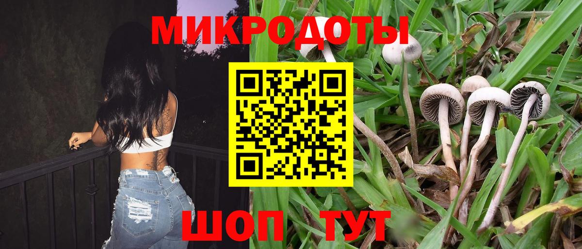 Галлюциногенные грибы MAGIC MUSHROOMS Петрозаводск