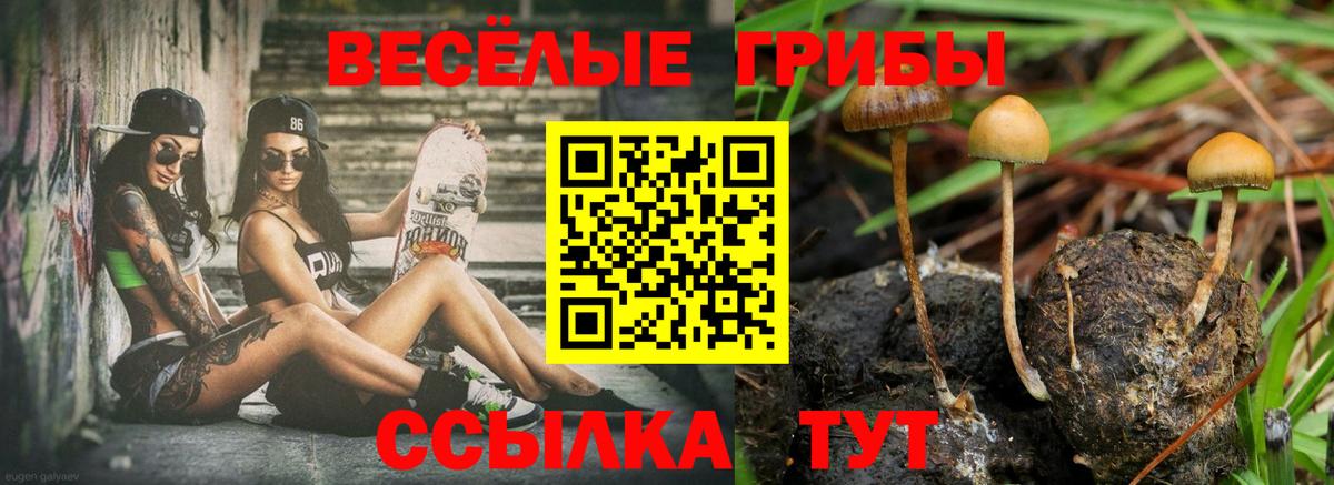 Петрозаводск  Галлюциногенные грибы Psilocybine cubensis  Галлюциногенные грибы мицелий  Вход с VPN 